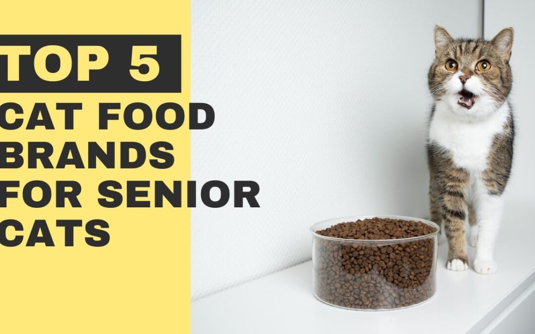 The Top Rated Cat Food for Senior Cats Find the Best Nutrition for