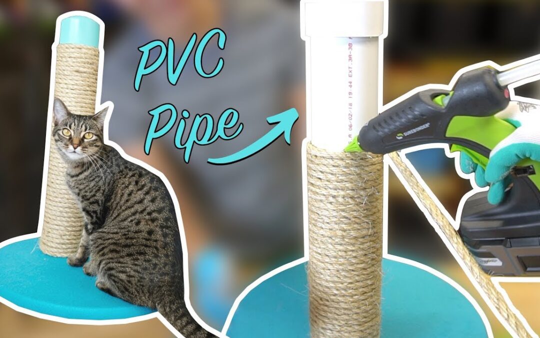 DIY Guide How to Make a Cat Scratch Post Mandale Magazine